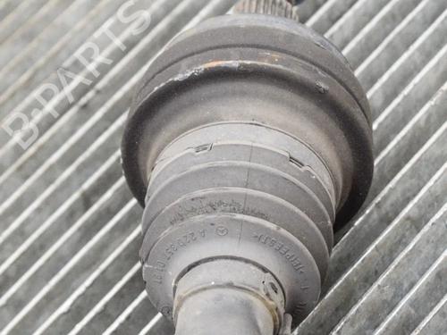  - Image 5