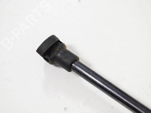 Tailgate lift support VW GOLF VII (5G1, BQ1, BE1, BE2) 2.0 R 4motion | BP30257066C138 