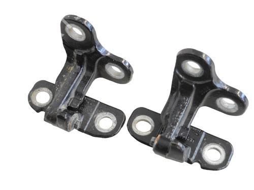 Hinge/Door check strap LAND ROVER DISCOVERY V (L462) 3.0 Td6 4x4 | BP30246901C146