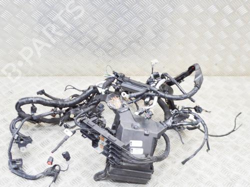 Used Wiring harness FORD ECOSPORT 1.0 EcoBoost (125 hp) 14652237