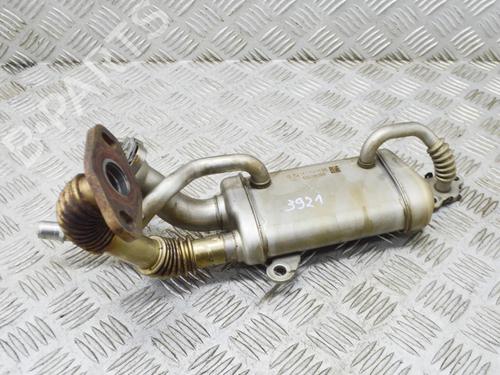 Used Egr MERCEDES-BENZ CITAN Box Body/MPV (W415) 111 CDI (415.603, 415.605) (110 hp) 13516134