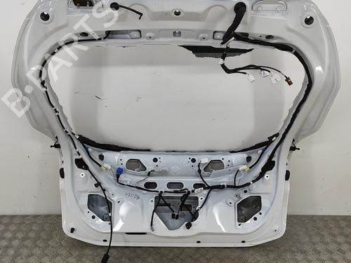 Tailgate TOYOTA C-HR (_X2_, _H2_) Hybrid (MAXH20) | BP29391396C6 