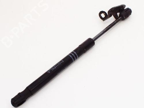Hood lift support BMW 5 (F10) 520 d | BP14608369C139 