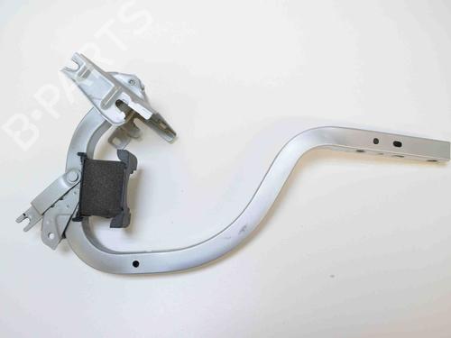 Used Hinge/Door check strap LEXUS LS (_F4_) 600h AWD (UVF45, UVF46) (445 hp) 30246396
