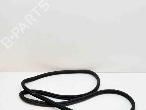 Used Rubber door seal BMW X3 (G01, F97, G08) xDrive 20 d (190 hp) 14624759