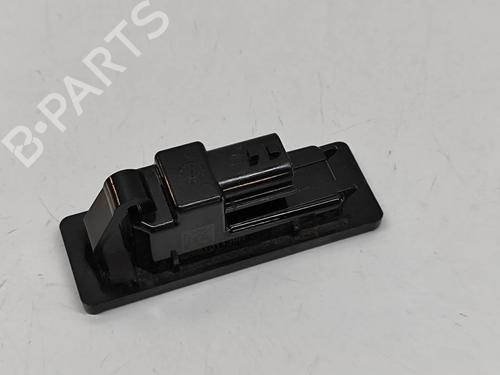 Luz matrícula RENAULT AUSTRAL E-TECH 200 Hybrid (HGM2) | BP29007755I40 