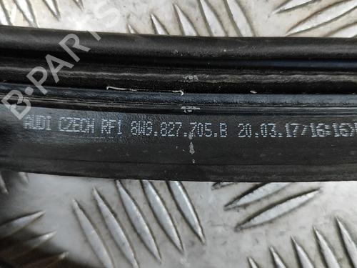 Rubber door seal AUDI A4 Allroad B9 (8WH, 8WJ) 2.0 TDI quattro | BP24142271C142 