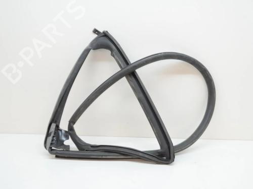 Goma contorno puerta TESLA MODEL S (5YJS) 75 (320 hp) 14619976