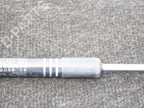 Hood lift support BMW 5 (F10) 520 d | BP14607793C139 