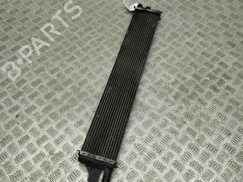 Water radiator OPEL MOVANO B Van (X62) 2.3 CDTI FWD (FV) | BP36066742M31 - Image 2