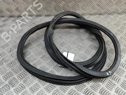 Gummiliste Gummiliste BMW 5 (G30, F90) 530 e Plug-in Hybrid (252 hp) 27577061 27577061