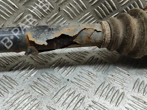  - Image 7