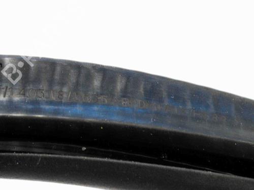 Rubber door seal AUDI Q5 (FYB, FYG) 3.0 TDI quattro | BP14666011C142