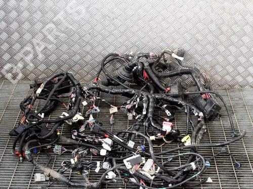 Used Wiring harness Wiring harness TESLA MODEL S (5YJS) 75 (388 hp) 20231377 20231377