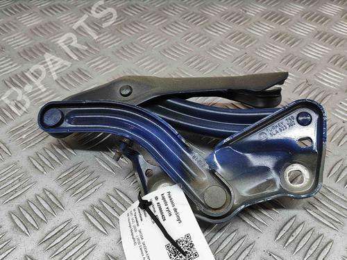 Hinge/Door check strap SKODA ENYAQ iV SUV (5AZ) 60 | BP27786744C146