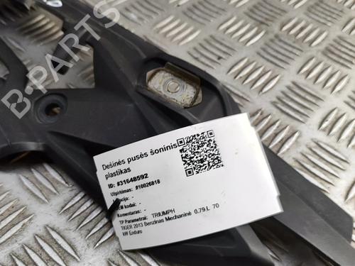 Andre TRIUMPH MOTORCYCLES TIGER ( -999cc) Tiger 800 | BP28565574O1 