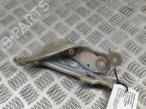 Hinge/Door check strap SKODA OCTAVIA III Combi (5E5, 5E6) 1.8 TSI 4x4 | BP26679694C146 