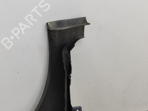Left front fenders CITROËN C4 Picasso I MPV (UD_) 1.6 VTi 120 | BP24142892C41 