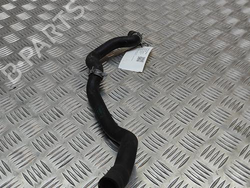 Pipe BMW 7 (G11, G12) 730 d | BP19501223M125 