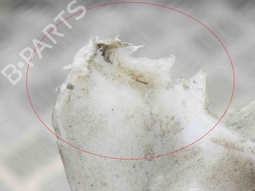 Windscreen washer tank TESLA MODEL S (5YJS) P100D AWD | BP29391137C113 