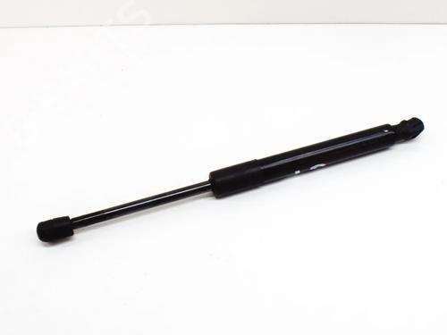 tailgate-lift-support-tesla-model-3-5yj3-2017-27749005 main image