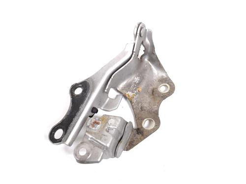 Hinge/Door check strap LEXUS GS (_L1_) 450h (GWL10_, GWL10, GWL10R) | BP30267303C146 