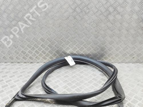 Gummiliste TESLA MODEL 3 (5YJ3) EV | BP37445420C142 - Image 3