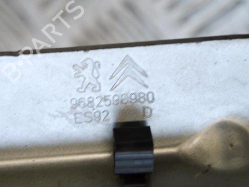Hinge/Door check strap PEUGEOT 3008 I MPV (0U_) 1.6 HDi | BP14611508C146 