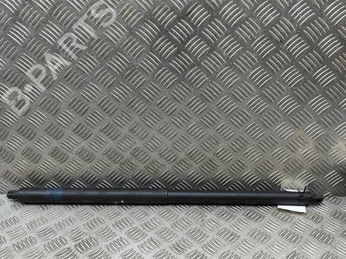 Amortecedor da mala TESLA MODEL S (5YJS) P100D AWD (772 hp) 30394343