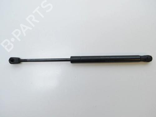 hood-lift-support-jaguar-xj-x350-x358-2003-2004-2005-2006-2007-2008-2009-33357934 main image