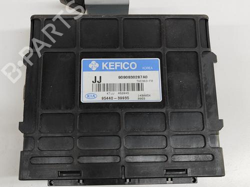Elektronisk modul KIA CARENS II MPV (FJ) 2.0 CRDi (113 hp) 23865418
