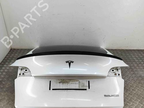 Used Tailgate TESLA MODEL Y (5YJY) EV Performance All-wheel Drive (462 hp) 29593483
