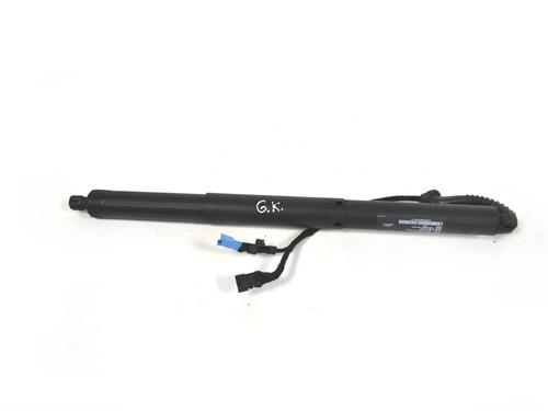 Used Tailgate lift support BMW X5 (F15, F85) xDrive 40 d (313 hp) 30258315