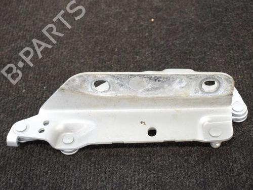 Hinge/Door check strap LAND ROVER RANGE ROVER EVOQUE (L538) 2.0 D 4x4 | BP14667291C146 