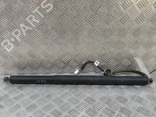 Used Tailgate lift support TESLA MODEL Y (5YJY) EV Performance All-wheel Drive (462 hp) 28558147
