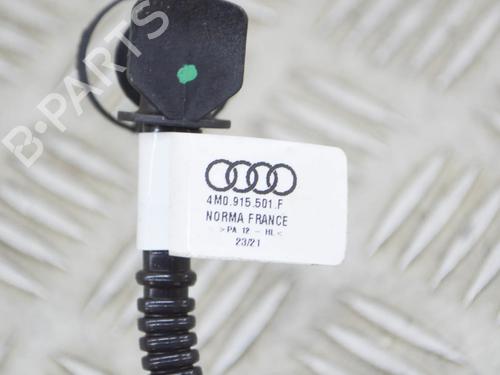 Pipe AUDI Q8 (4MN, 4MT) 50 TDI Mild Hybrid quattro | BP14649182M125 