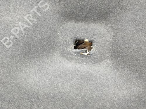 Upper protection VOLVO V90 II Estate (235) D5 AWD | BP36275073M93 - Image 9
