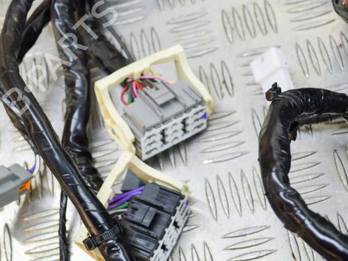 Ledningsnet TESLA MODEL S (5YJS) P85 | BP14617919E16 