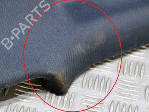 Interior roof LAND ROVER RANGE ROVER VELAR (L560) 2.0 P300 Si4 4x4 | BP30178009I12 