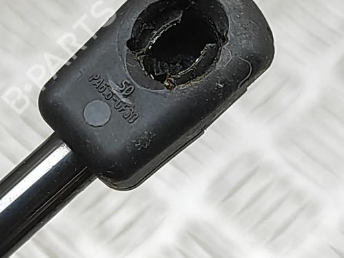 Hood lift support PORSCHE 911 (991) 3.0 Carrera S | BP32392285C139 