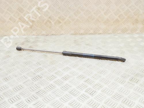 Tailgate lift support AUDI A3 Sportback (8VA, 8VF) RS3 quattro | BP14655288C138
