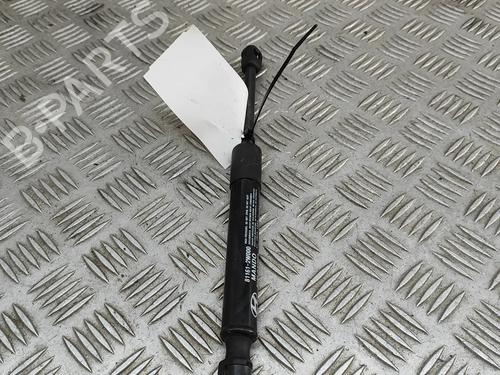 hood-lift-support-hyundai-santa-fe-iii-dm-dma-2012-2013-2014-2015-2016-2017-2018-27933694 main image