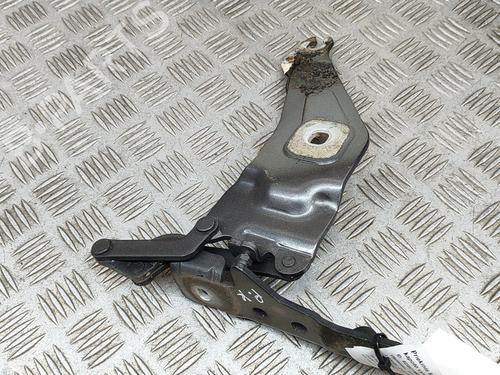 Hinge/Door check strap BMW X5 (E70) xDrive 40 d | BP19280931C146 