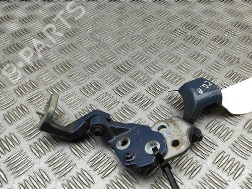 Hinge/Door check strap FORD TRANSIT V363 Van (FCD, FDD) 2.0 EcoBlue | BP30301443C146 