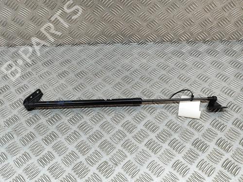 tailgate-lift-support-nissan-juke-f16_-2019-28551102 main image