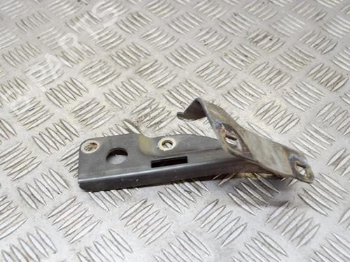 Hinge/Door check strap NISSAN PATHFINDER III (R51) 2.5 dCi 4WD | BP14634709C146 