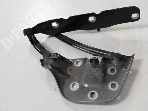 Hinge/Door check strap LAND ROVER RANGE ROVER VELAR (L560) 2.0 P300 Si4 4x4 | BP30207932C146