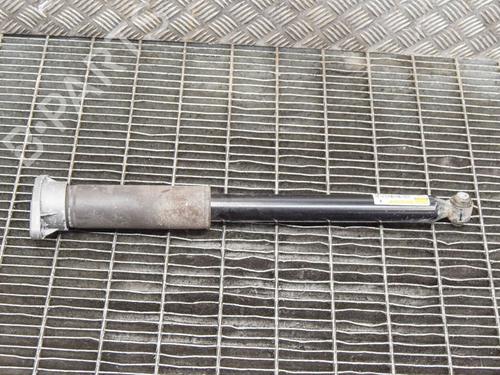 Right rear shock absorber MERCEDES-BENZ E-CLASS (W213) E 220 d (213.004) | BP7017228M19 