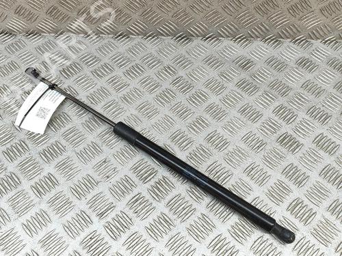 Tailgate lift support VW GOLF VII (5G1, BQ1, BE1, BE2) 2.0 R 4motion | BP19282999C138