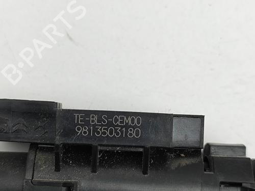 Elektronisk sensor PEUGEOT PARTNER Box Body/MPV (K9) 1.5 BlueHDi 100 | BP29391694M84 